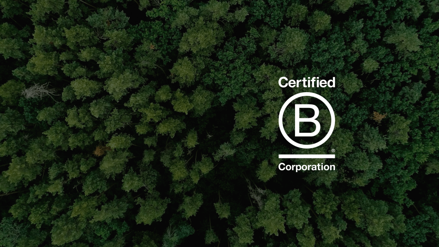 B Corp Fallback 2