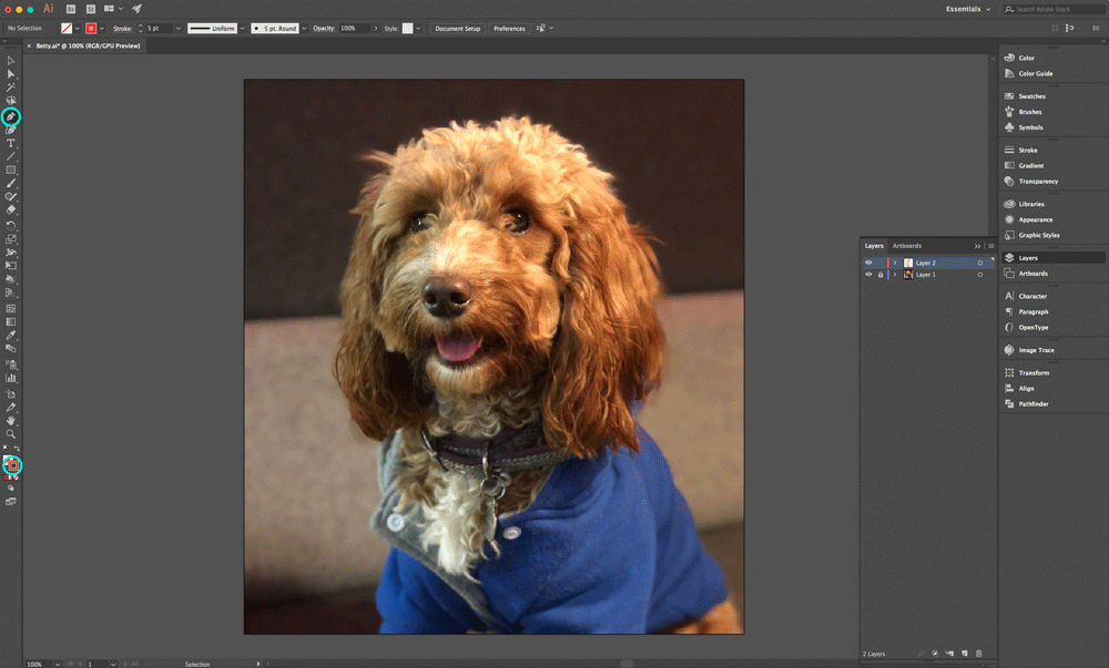 How to Make an Animated GIF File in Adobe Illustrator